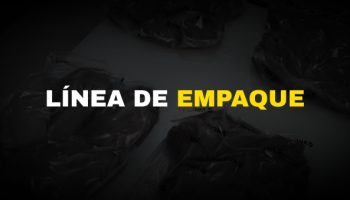 Empaque