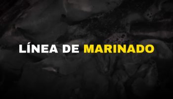 Marinado